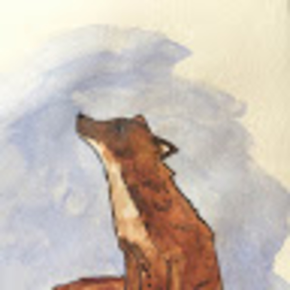 Meet your Posher, Adriana